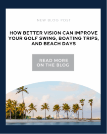 Blog Title & palm trees by the beach